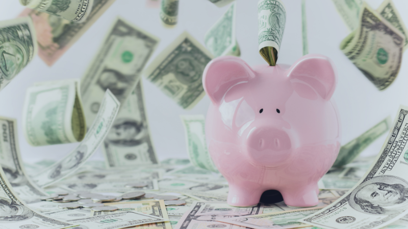 Piggy bank with money